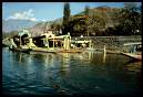 Charming Kashmir