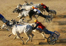 Kila Raipur Sports Festival Rural Olympics