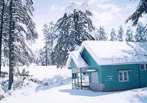 Patnitop