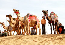 Bikaner