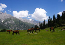 Wonderful Kashmir Tour